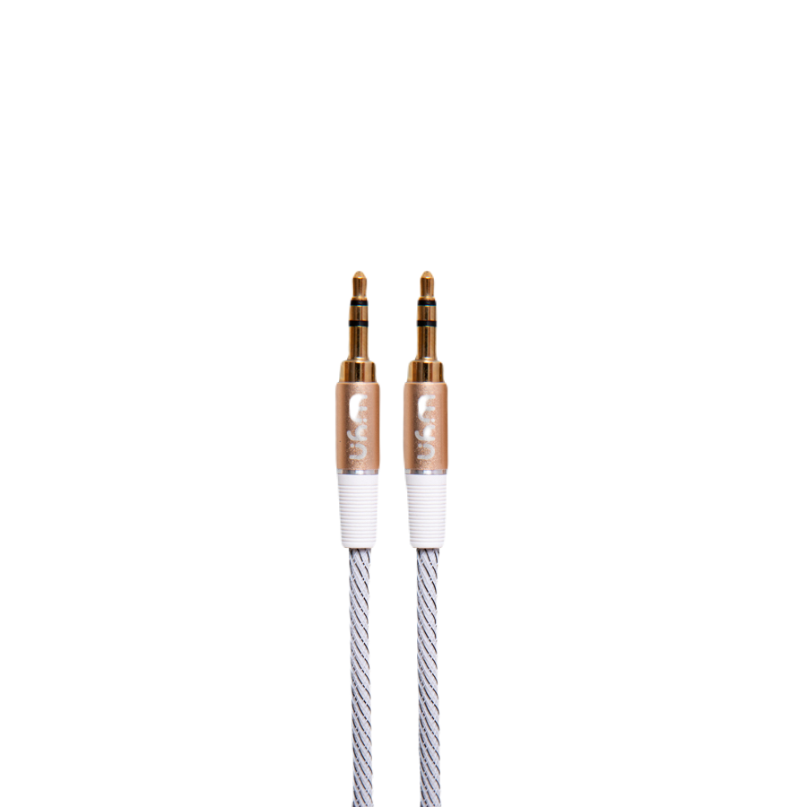 Câble Audio Jack 3.5 mm WYN