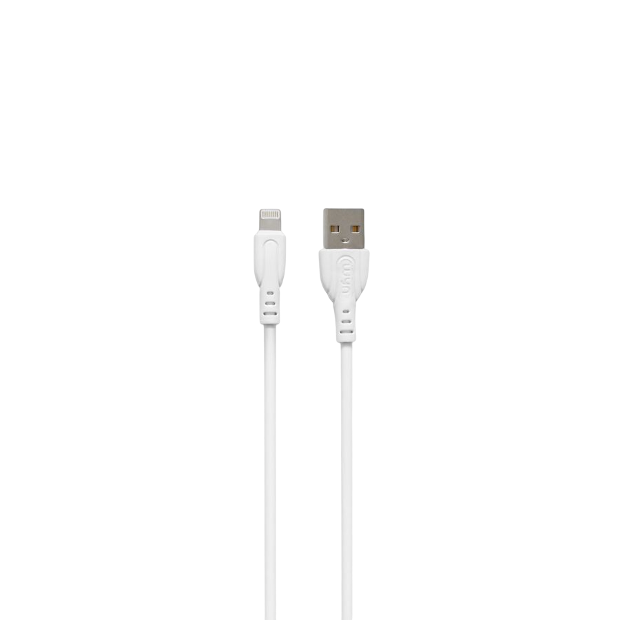 Câble Bio Dégradable Compatible Lightning WYN