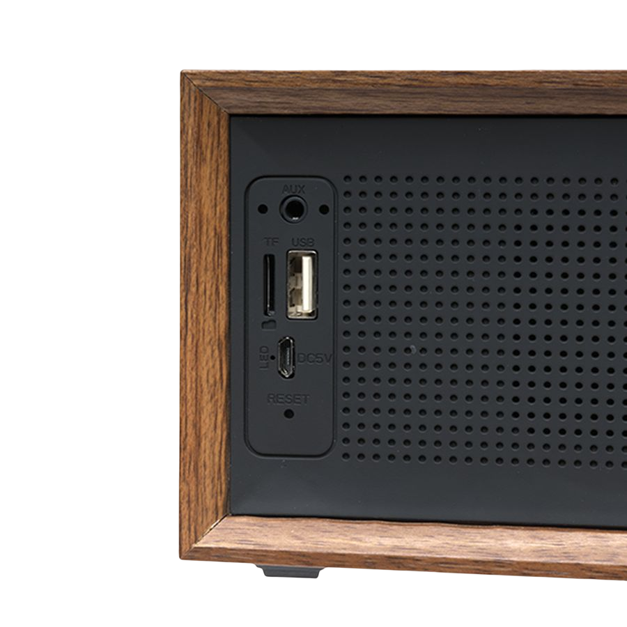 Enceinte BTS 210 + Radio FM