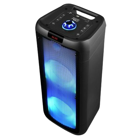 Enceinte SRX208