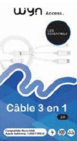 Chargeur Câble 3 en 1 WYN