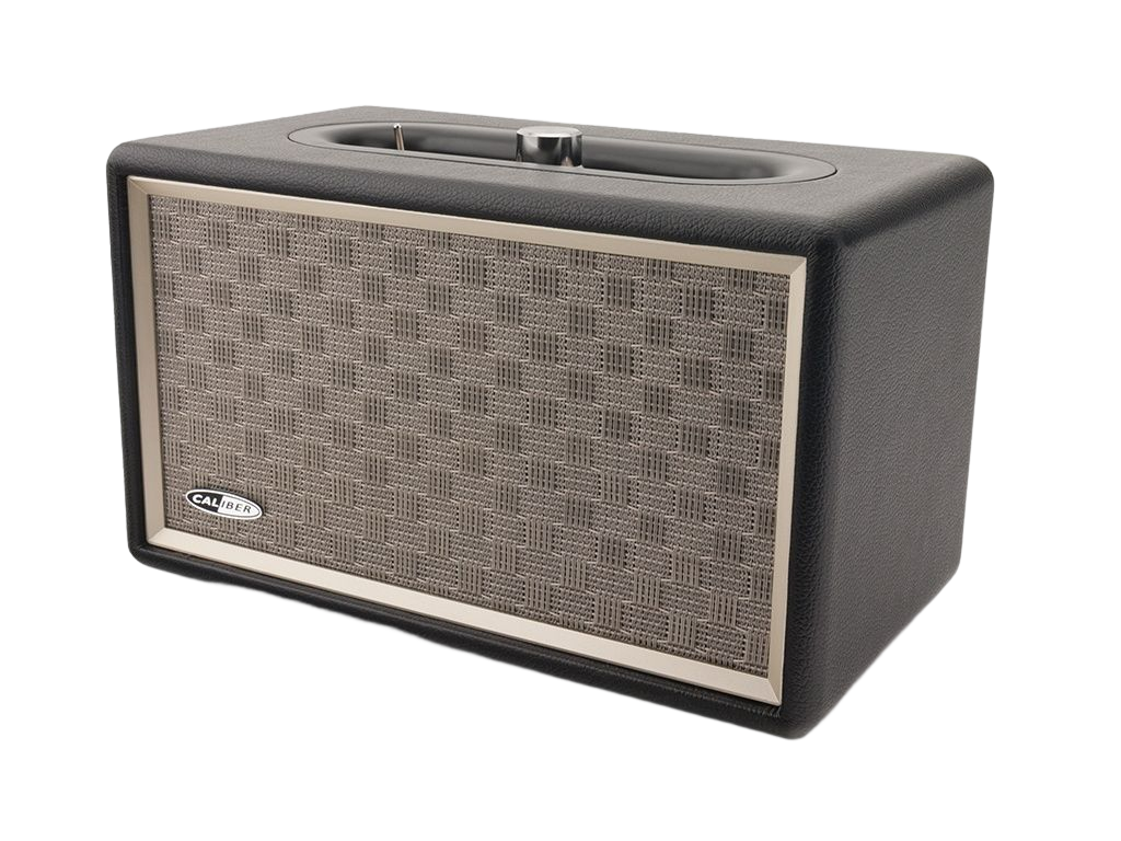 Enceinte stéréo HFG311BT