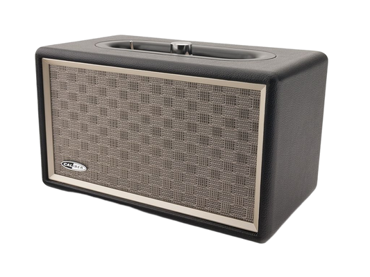 Enceinte stéréo HFG311BT