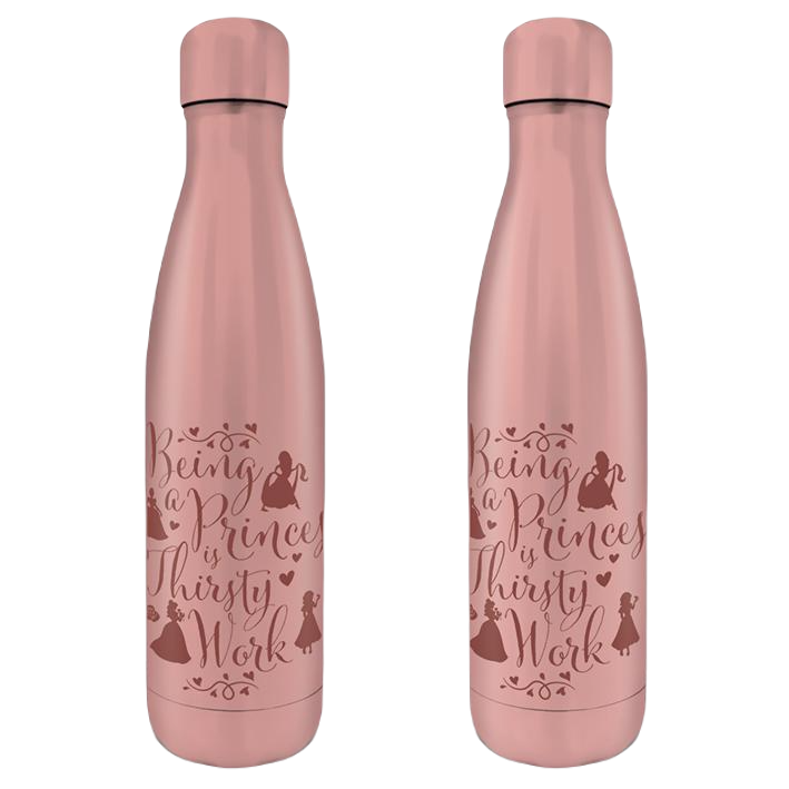 Disney Princess - Thirsty Work Metal Drinks Bottle 550m