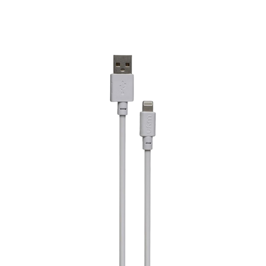 Câble Lightning Standard 1.2 m WYN