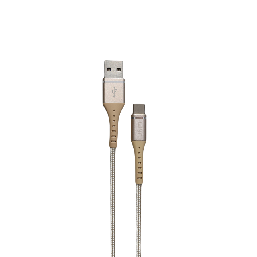 Câble Type C Tressé WYN
