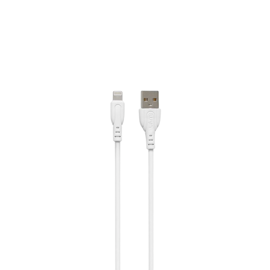 Câble Bio Dégradable Compatible Lightning WYN