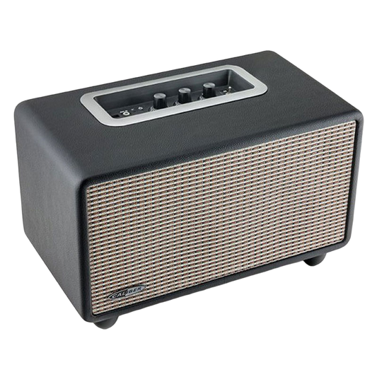 Enceinte stéréo HFG411BT