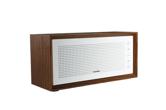 Enceinte BTS 210 + Radio FM