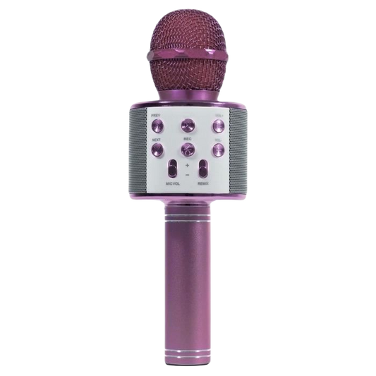 Micro Karaoke LEDWOOD