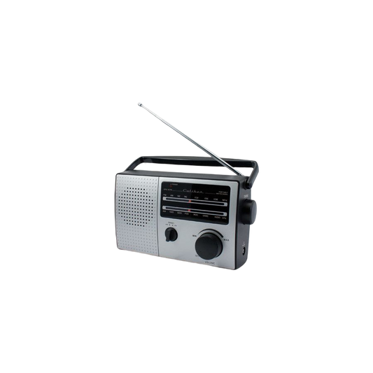 Radio portative FM