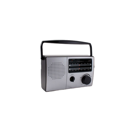 Radio portative FM